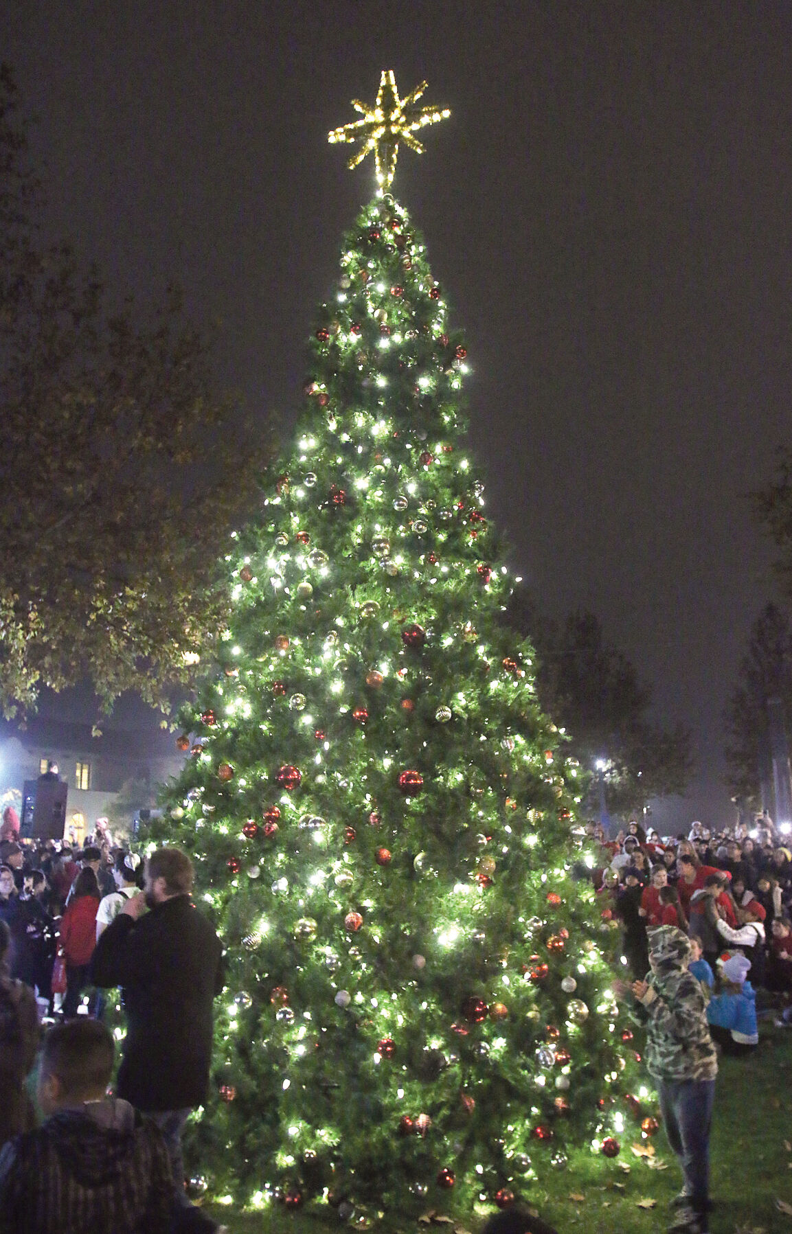 Tree lighting ceremony